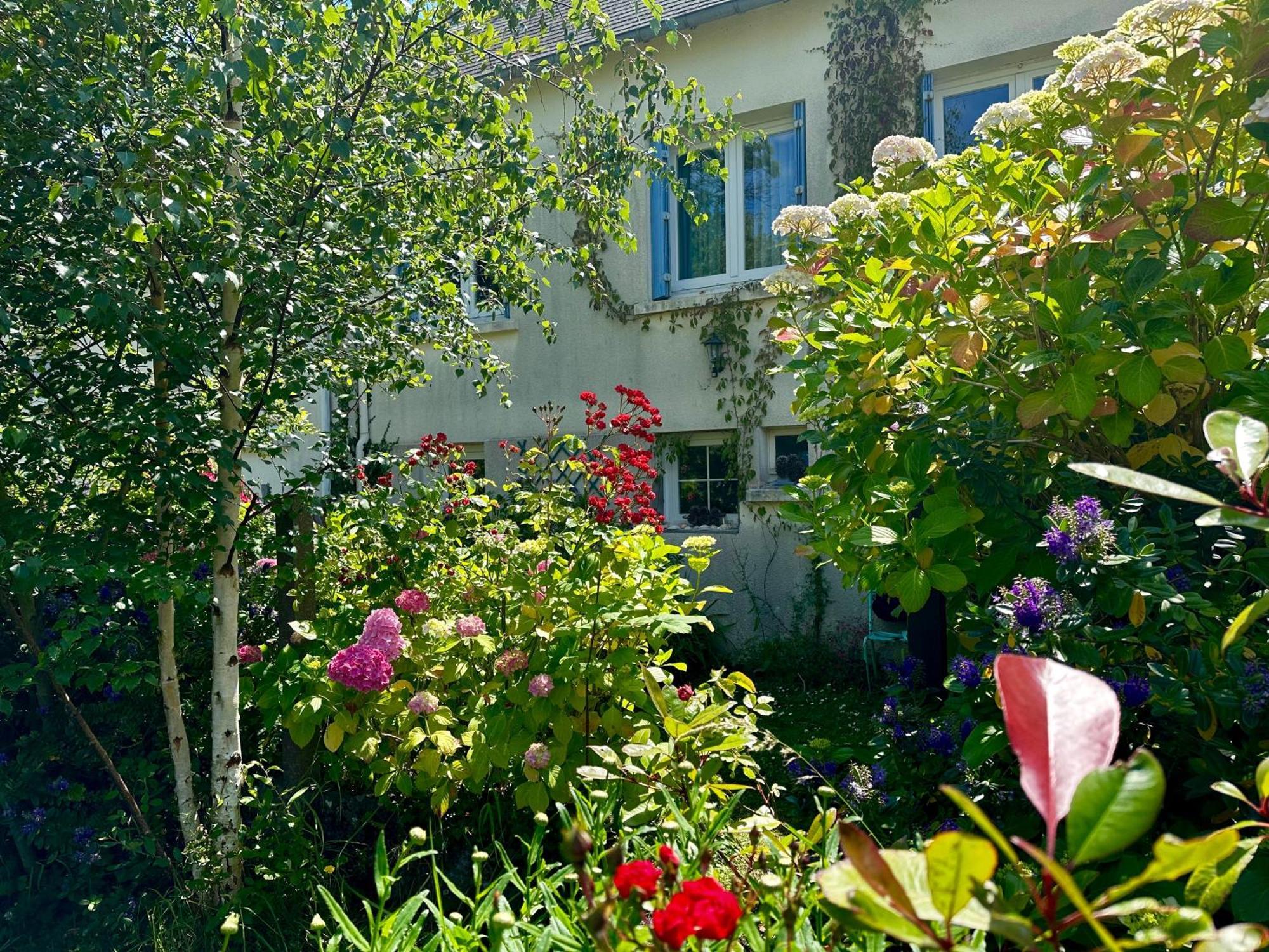Agreable Maison A 500 M De La Plage ! Saint-Quay-Portrieux Zewnętrze zdjęcie