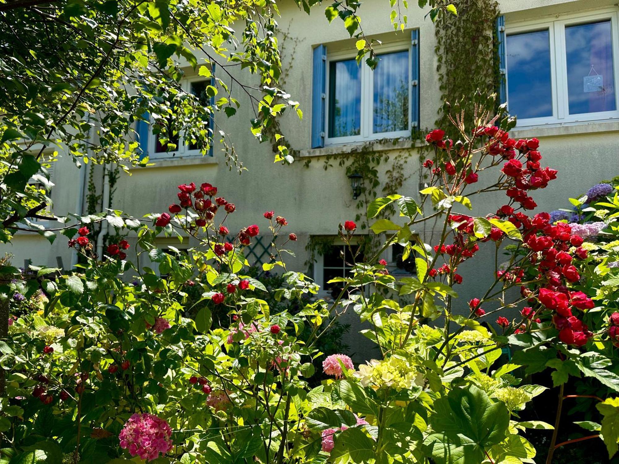 Agreable Maison A 500 M De La Plage ! Saint-Quay-Portrieux Zewnętrze zdjęcie